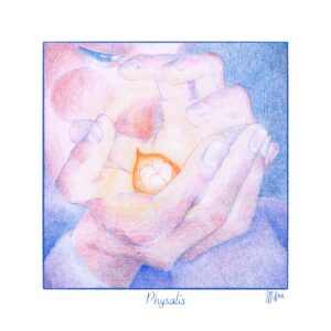 Tirage d’Art – Physalis (Édition Limitée)