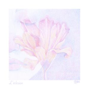 L’éclosion illustration imprimée